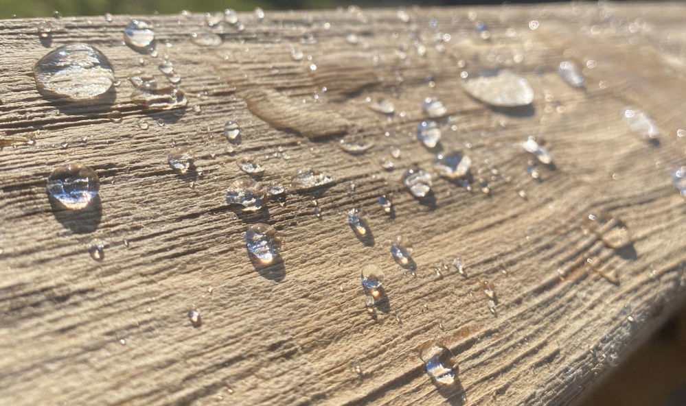 Water repellent wood